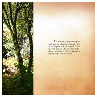 En prenant à gauche en pas-
sant par ce chemin enherbé, une
autre surprise attire le regard. C’ est
le point haut du site, un amas de ro-
chers culminant à 309 m, encore à
moitié caché sous les ronces.
37
 