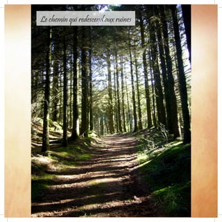 Le chemin qui redescend aux ruines
 