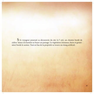 Si le voyageur poursuit sa découverte du site (à l’ est), un chemin bordé de
cèdres laisse à la lumière se frayer un passage. La végétation (mousses, lierre et grami-
nées) borde le sentier. Tout en bas de la propriété se trouve un étang artificiel.
39
 