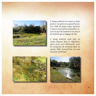 L’ étang artificiel est creusé en deux
parties : un petit et un grand bassin.
Une table de pique-nique optimise
l’ espace et permettra de profiter en-
core un peu de l’ambiance de paix et
de sérénité qui se dégage du site.
L’ étang artificiel avait plus ou
moins disparu dans la végétation,
après avoir servi d’abreuvoir pour
les troupeaux de moutons dans les
années 1800. Aujourd’ hui , il a une
fonction esthétique.
41
 