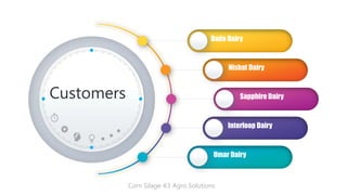 Dada Dairy
Nishat Dairy
Sapphire Dairy
Interloop Dairy
Umar Dairy
Customers
Corn Silage-K3 Agro Solutions
 