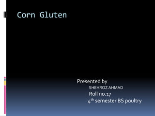 Corn Gluten
Presented by
SHEHROZ AHMAD
Roll no.17
4th semester BS poultry
 