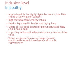 Inclusion level
In poultry
• Appreciated for its highly digestible starch, low fiber
and relatively high oil content
• High metabolizable energy values
• Feed at high level in broiler and laying hens
• Maize oil is a good source of polyunsaturated fatty
acid (linoleic acid)
• In poultry white and yellow maize has same nutritive
value
• Yellow maize contains more carotene and
cryptoxanthine which are beneficial to yolk
pigmentation
 