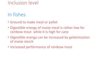Inclusion level
In fishes
• Ground to make meal or pellet
• Digestible energy of maize meal is rather low for
rainbow trout while it is high for carp
• Digestible energy can be increased by gelatinization
of maize starch
• Increased performance of rainbow trout
 