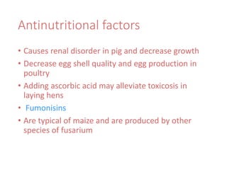 Antinutritional factors
• Causes renal disorder in pig and decrease growth
• Decrease egg shell quality and egg production in
poultry
• Adding ascorbic acid may alleviate toxicosis in
laying hens
• Fumonisins
• Are typical of maize and are produced by other
species of fusarium
 