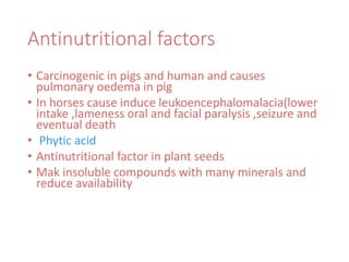 Antinutritional factors
• Carcinogenic in pigs and human and causes
pulmonary oedema in pig
• In horses cause induce leukoencephalomalacia(lower
intake ,lameness oral and facial paralysis ,seizure and
eventual death
• Phytic acid
• Antinutritional factor in plant seeds
• Mak insoluble compounds with many minerals and
reduce availability
 