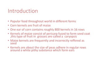 Introduction
• Popular food throughout world in different forms
• Corn kernels are fruit of maize
• One ear of corn contains roughly 800 kernels in 16 rows
• Kernels of maize consist of pericarp fused to form seed coat
,this type of fruit in grasses are called a caryopsis
• Maize kernels are frequently and incorrectly reffered as
seed
• Kernels are about the size of peas adhere in regular rows
around a white pithy substance which form ears
 