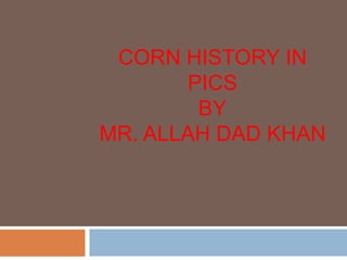Corn History in Pics A Presentation By Mr Allah Dad Khan Visiting ...