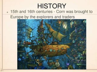 Corn History in Pics A Presentation By Mr Allah Dad Khan Visiting ...
