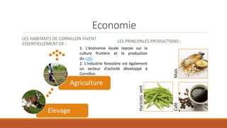 Economie
LES HABITANTS DE CORNILLON VIVENT
ESSENTIELLEMENT DE :
LES PRINCIPALES PRODUCTIONS :
Haricotsvert
CaféMaïs
Elevage
Agriculture
1. L'économie locale repose sur la
culture fruitière et la production
du café.
2. L'industrie forestière est également
un secteur d'activité développé à
Cornillon.
 
