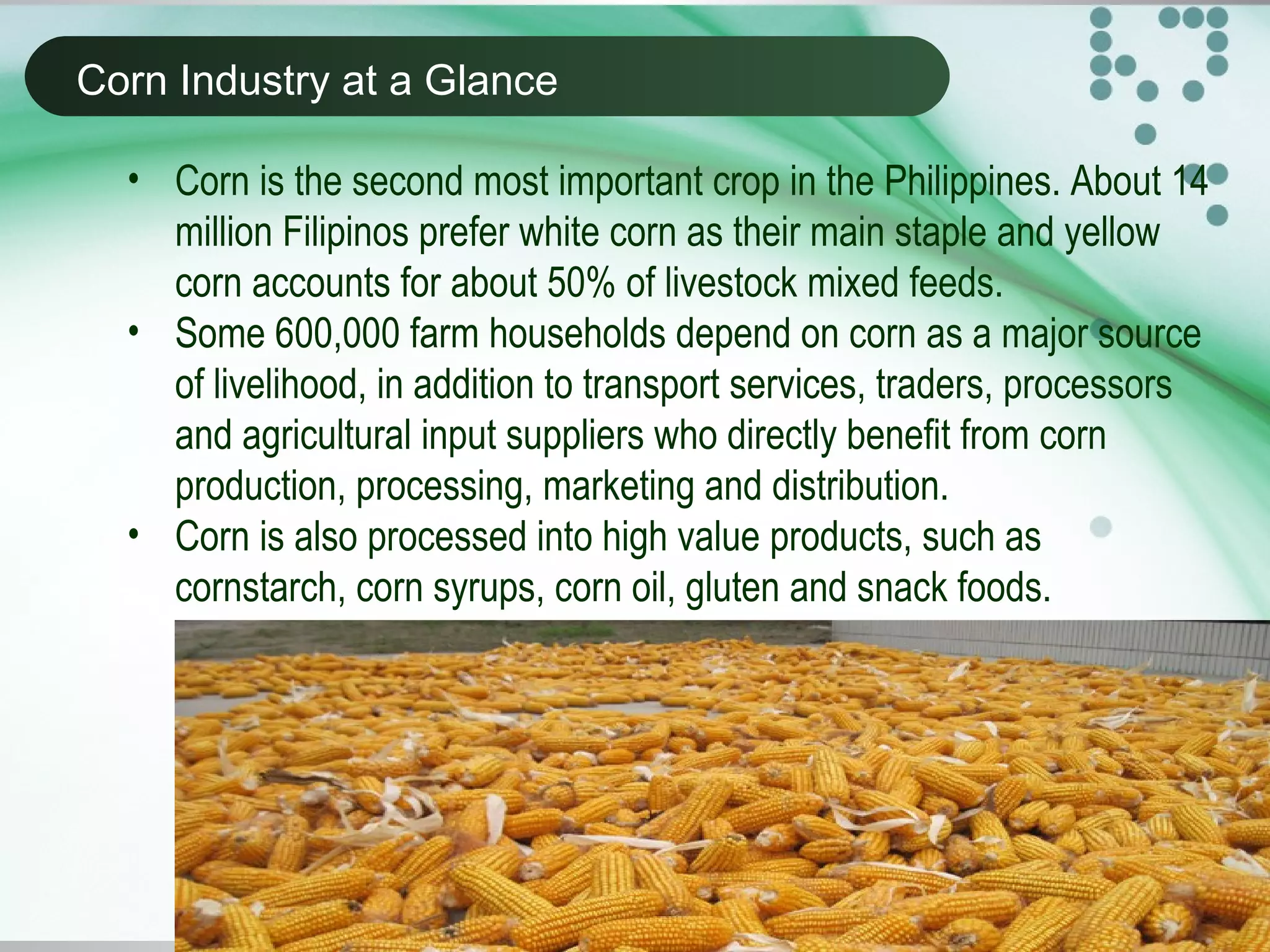 Corn industry presentation | PPT