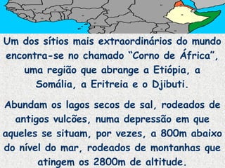 Um dos sítios mais extraordinários do mundo
encontra-se no chamado “Corno de África”,
uma região que abrange a Etiópia, a
Somália, a Eritreia e o Djibuti.
Abundam os lagos secos de sal, rodeados de
antigos vulcões, numa depressão em que
aqueles se situam, por vezes, a 800m abaixo
do nível do mar, rodeados de montanhas que
atingem os 2800m de altitude.
 