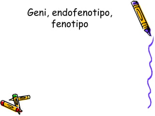 Geni, endofenotipo,
fenotipo
 