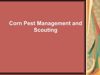 Corn Pest Management and
Scouting

 