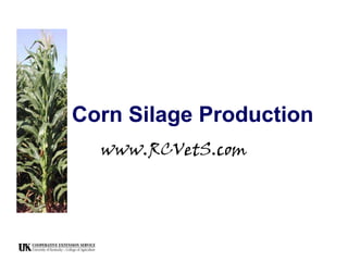 Corn Silage Production
www.RCVetS.com

 