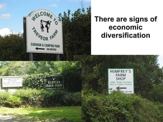 There are signs of economic diversification 