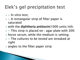  • In vitro test;
 • A rectangular strip of filter paper is
saturated
 with the diphtheria antitoxin(1000 units/ml);
 • This strip is placed on : agar plate with 20%
 horse serum, while the medium is setting;
 • The cultures to be tested are streaked at
right
 angles to the filter paper strip
 