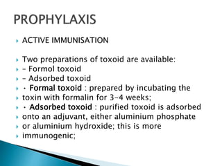  ACTIVE IMMUNISATION
 Two preparations of toxoid are available:
 – Formol toxoid
 – Adsorbed toxoid
 • Formal toxoid : prepared by incubating the
 toxin with formalin for 3-4 weeks;
 • Adsorbed toxoid : purified toxoid is adsorbed
 onto an adjuvant, either aluminium phosphate
 or aluminium hydroxide; this is more
 immunogenic;
 