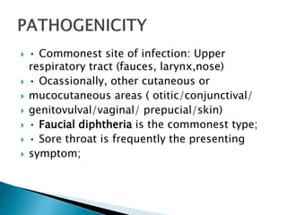  • Commonest site of infection: Upper
respiratory tract (fauces, larynx,nose)
 • Ocassionally, other cutaneous or
 mucocutaneous areas ( otitic/conjunctival/
 genitovulval/vaginal/ prepucial/skin)
 • Faucial diphtheria is the commonest type;
 • Sore throat is frequently the presenting
 symptom;
 