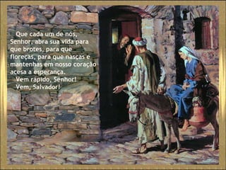 Que cada um de nós, Senhor, abra sua vida para que brotes, para que floreças, para que nasças e mantenhas em nosso coração acesa a esperança. Vem rápido, Senhor! Vem, Salvador!  