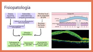 Fisiopatología
Estasis,
isquemia,
inflamación
Hiperpermeabilidad de
coriocapliares
↑Presión
hidrostática
Separación
del EPR
Sobrepasa la
función de
barrera del EPR
Acumulación
de fluido entre
retina y EPR
Esteroides,
catecolaminas,
simpaticomiméticos
Defecto en la autoregulación
de la vasculatura Bombeo
de fluido
inverso
Pérdida focal
de la polaridad
de EPR
 