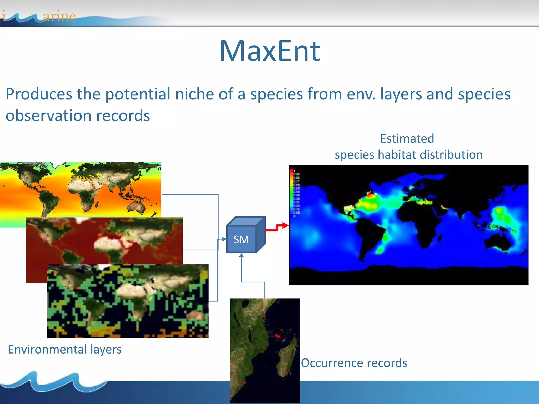 MaxEnt
Produces the potential niche of a species from env. layers and species
observation records
Environmental layers
Occurrence records
Estimated
species habitat distribution
SM
 
