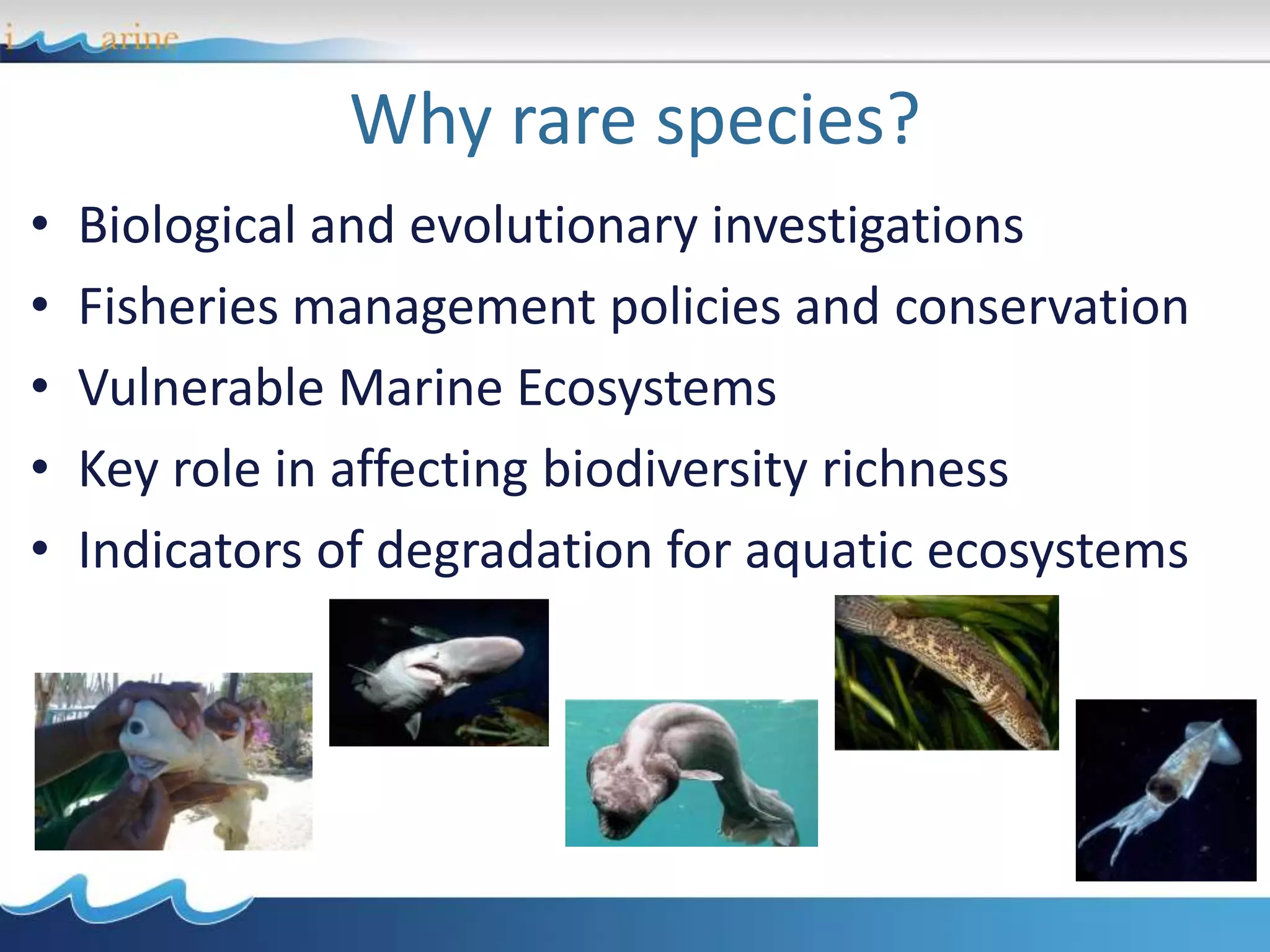 Why rare species?
• Biological and evolutionary investigations
• Fisheries management policies and conservation
• Vulnerable Marine Ecosystems
• Key role in affecting biodiversity richness
• Indicators of degradation for aquatic ecosystems
 