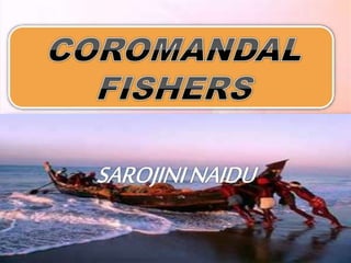 Coromandal fishers