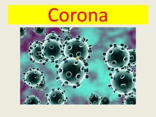 Corona
 