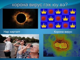 Нар хиртэлт Корона вирус
 