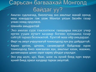  Амьтан судлаачид, биологчид энэ амьтныг манай оронд
маш ховордсон гэж үзэж Монгол улсын Засийн газар
улаан номд оруулжээ.
 Шөнийн амьдралтай
 Энэ амьтан сүүн тэжээлтнээс ганцаараа нисдэг учир
өргөн уудам нутагт халдвар богино хугацаанд газар
сайгүй тараах боломжтой. Хүнтэй маш ойр амьдардаг.
 Өөрт нь аюул учруулаагүй тохиолдолд хүн рүү дайрдаггүй.
 Харин үргээх, цочоох, санамсаргүй байдлаар хүрэх
тохиолдолд биеэ хамгаалан хүн, амьтныг хазах, маажих,
далавчаараа цохих зэрэг хариу үйлдэл үзүүлдэг.
 Энэ үед шүлс, цус, баас, шээс нь хүний биед хүрч вирус
хүний биед орвол халдвар тархах аюултай.
 