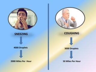 SNEEZING COUGHING
4000 Droplets
2000 Miles Per Hour
3000 Droplets
50 Miles Per Hour
 