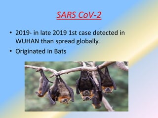 SARS CoV-2
• 2019- in late 2019 1st case detected in
WUHAN than spread globally.
• Originated in Bats
 