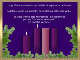 Los profetas mantenían encendida la esperanza de Israel.
Nosotros, como un símbolo, encendemos estas dos velas.
El viejo tronco está rebrotando; se estremece
porque Dios se ha sembrado
en nuestra carne...
 