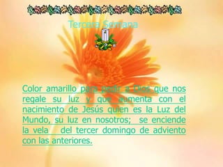 Tercera Semana

Color amarillo para pedir a Dios que nos
regale su luz y que aumenta con el
nacimiento de Jesús quien es la Luz del
Mundo, su luz en nosotros; se enciende
la vela del tercer domingo de adviento
con las anteriores.

 