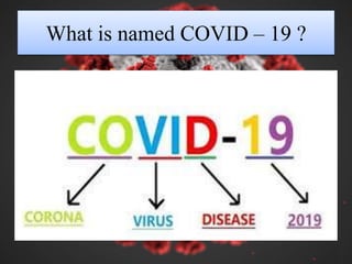 What is named COVID – 19 ?
 