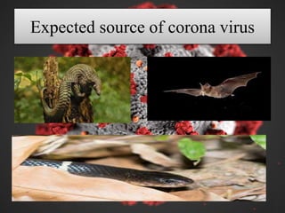Expected source of corona virus
 