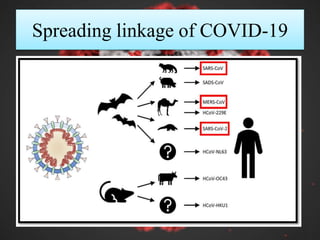 Spreading linkage of COVID-19
 