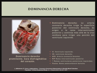 Dominancia derecha
prominente. Cara diafragmática
del corazón.
 Dominancia derecha: La arteria
coronaria derecha irriga la superficie
posterior del ventrículo derecho, da
origen a la rama interventricular
posterior y continúa más allá de la cruz
cardiaca para irrigar una porción del
ventrículo izquierdo.
 VI. Ventrículo izquierdo;
 VD. ventrículo derecho;
 ACD. Arteria coronaria derecha;
 RIP Rama interventricular posterior.
 * Ramas ventriculares posteriores izquierdas;
 Flecha. Rama posterolateral derecha.
DOMINANCIA DERECHA
L. Ballesteros; E. Corzo y colaboradores, “ Coronary's Dominance Determination in Racially Mixed Colombian
Population” A Direct Anatomical Study, Int. J. Morphol.25(3) :483-491, 2007
 