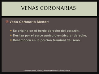  Vena Coronaria Menor:
 Se origina en el borde derecho del corazón.
 Desliza por el surco auriculoventricular derecho.
 Desemboca en la porción terminal del seno.
VENAS CORONARIAS
Fernando Quiroz, Tomo II; “Anatomía Humana” Editorial Porrúa.
 