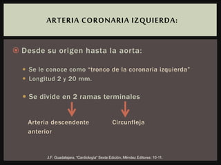  Desde su origen hasta la aorta:
 Se le conoce como “tronco de la coronaria izquierda”
 Longitud 2 y 20 mm.
 Se divide en 2 ramas terminales
Arteria descendente Circunfleja
anterior
ARTERIA CORONARIA IZQUIERDA:
J.F. Guadalajara, “Cardiología” Sexta Edición; Méndez Editores: 10-11.
 