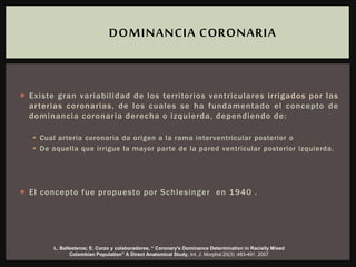  Existe gran variabilidad de los territorios ventriculares irrigados por las
arterias coronarias, de los cuales se ha fundamentado el concepto de
dominancia coronaria derecha o izquierda, dependiendo de:
 Cual arteria coronaria da origen a la rama interventricular posterior o
 De aquella que irrigue la mayor parte de la pared ventricular posterior izquierda.
 El concepto fue propuesto por Schlesinger en 1940 .
DOMINANCIA CORONARIA
L. Ballesteros; E. Corzo y colaboradores, “ Coronary's Dominance Determination in Racially Mixed
Colombian Population” A Direct Anatomical Study, Int. J. Morphol.25(3) :483-491, 2007
 