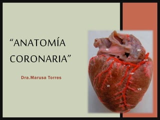 Dra.Marusa Torres
“ANATOMÍA
CORONARIA”
 