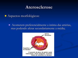 Aterosclerose Aspectos morfológicos:  Acometem preferencialmente a intima das artérias, mas podendo afetar secundariamente a média; 