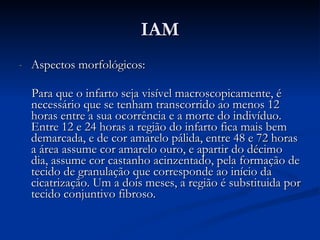 IAM Aspectos morfológicos: Para que o infarto seja visível macroscopicamente, é necessário que se tenham transcorrido ao menos 12 horas entre a sua ocorrência e a morte do indivíduo. Entre 12 e 24 horas a região do infarto fica mais bem demarcada, e de cor amarelo pálida, entre 48 e 72 horas a área assume cor amarelo ouro, e apartir do décimo dia, assume cor castanho acinzentado, pela formação de tecido de granulação que corresponde ao início da cicatrização. Um a dois meses, a região é substituida por tecido conjuntivo fibroso. 