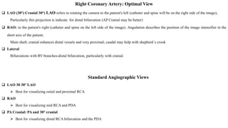 Coronary-artery Circulation Overview Observations about Kugel's artery ...