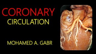 CORONARY
CIRCULATION
MOHAMED A. GABR
 