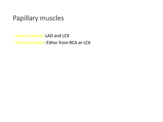 CORONARY ANATOMY new fina;.pptx