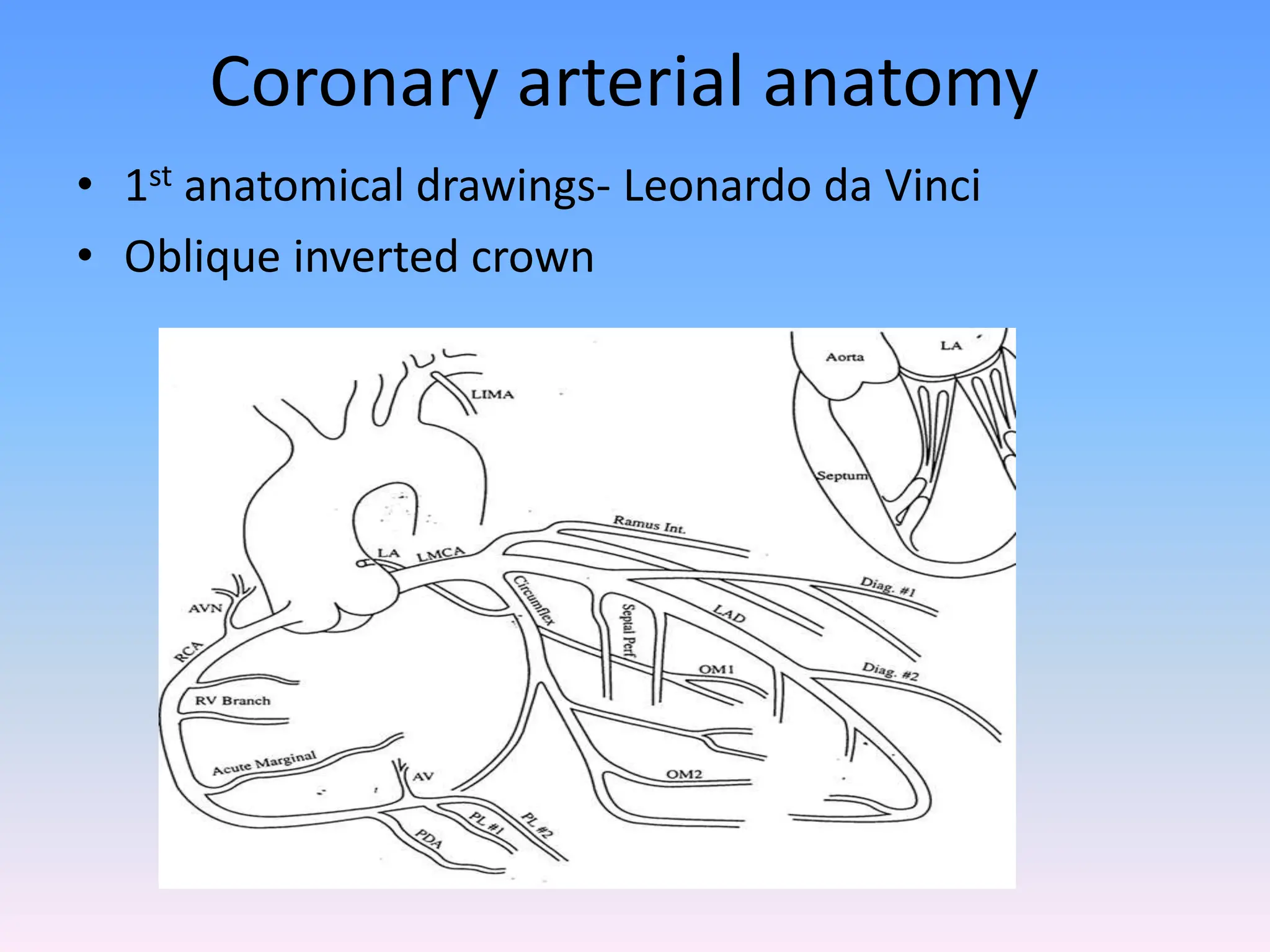 CORONARY ANATOMY _ SANDEEP M CAG VIEWS.ppsx