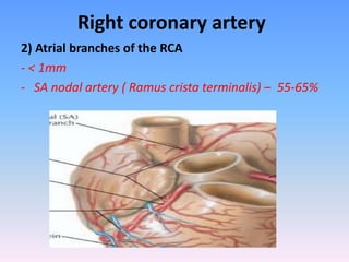 Large Ramus Branch CORONARY ANATOMY _ SANDEEP M CAG VIEWS.ppsx